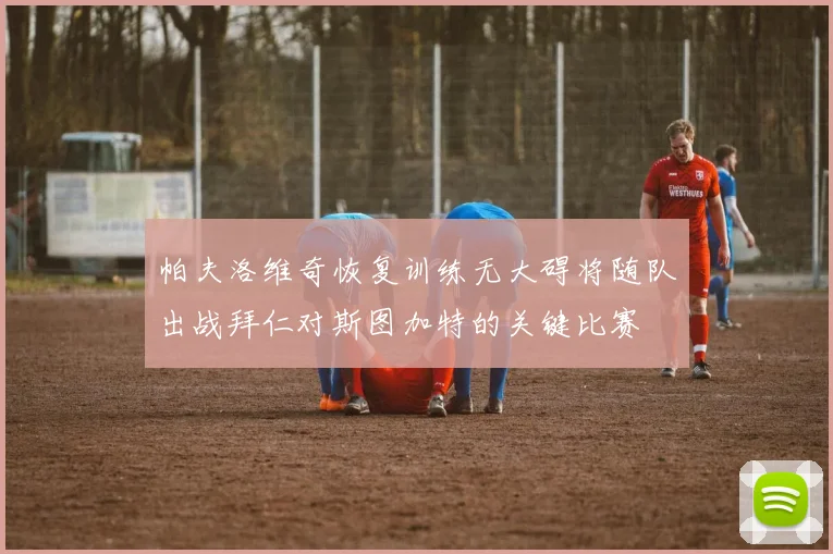 帕夫洛维奇恢复训练无大碍将随队出战拜仁对斯图加特的关键比赛