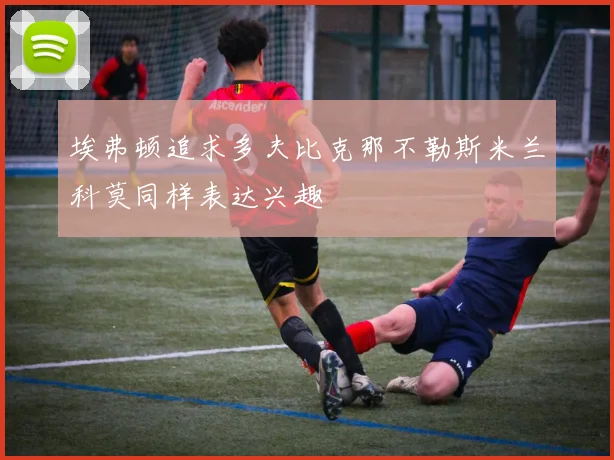埃弗顿追求多夫比克那不勒斯米兰科莫同样表达兴趣