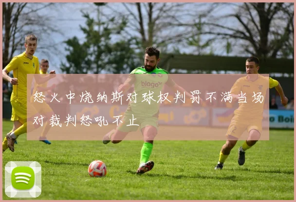 怒火中烧纳斯对球权判罚不满当场对裁判怒吼不止