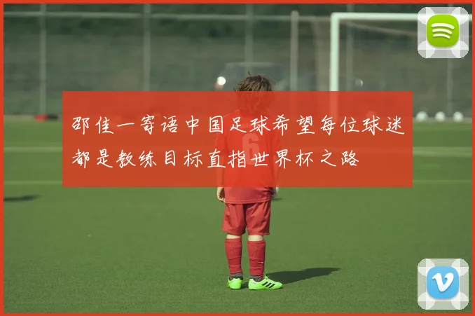 邵佳一寄语中国足球希望每位球迷都是教练目标直指世界杯之路