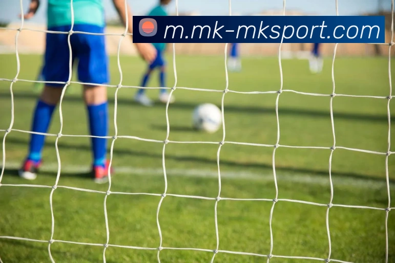 MK体育APP 高清赛事图